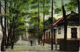 Hatvan, Újhatvani részlet az állami elemi iskolával. Vasúti levelezőlapárusítás (EK)