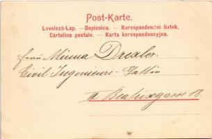 1904 K.u.K. Kriegsmarine Marine Taucher Unterricht, Im Abstieg, Untertauchen, Im Wasser. Nr. 81. Ale...
