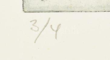 Bartl József (1932-2013): Női akt (cím nélkül), 1970. Akvatinta, papír, jelzett, számozott (3/4). Mi...