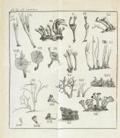 Brückmann, Franz Ernst - Haller, Albrecht von: F. E. Bruckmanni, D. epistola itineraria LXXXV. siste...