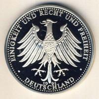 Németország 1991. "200 éves a Brandenburgi Kapu" ffm emlékérem T:PP