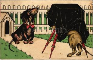 1907 Dachshund photographer, dog humour. litho (lyuk / pinhole)