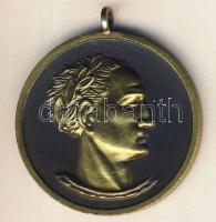 NSZK 1949. "1. Bundesfest - Stuttgart" Br emlékérem T:2