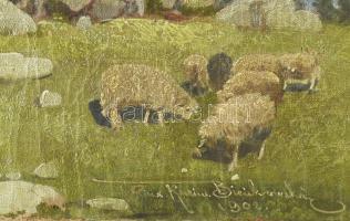 Olvashatatlan jelzéssel: Juhász a nyájával, 1902. Olaj, vászon, sérült. Dekoratív fakeretben, 30×45 ...