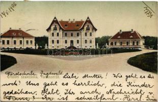 1906 Temesvár, Timisoara; Vadászerdő,  M. kir. erdőőri szakiskola. Polatsek kiadása / forest ranger school, forestry school (fa)