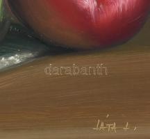 Láta László (1938-): kardvirágok. Olaj, farost. Jelzett. 60x50 cm Dekoratív fakeretben