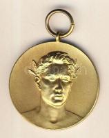 Német 3. Birodalom 1931. "Deutsche Meisterschaften" érdemérem T:2