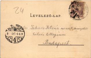 1901 Kisdisznód, Michelsberg, Cisnadioara; Verl. d. Buchh. G.A. Seraphin. Lichtdruck v. Jos. Drotlef...