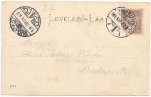 1901 Medgyes, Mediasch, Medias; mit dem Eisenbahnhofgebäude / vasútállomás. G. A. Reissenberger kiad...