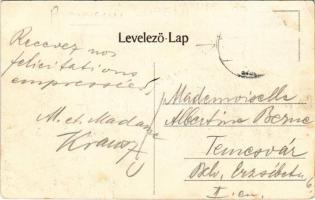 Lupény, Lupeni; Ammoniákgyár / Ammoniakfabrik / ammonia factory (szakadás / tear)