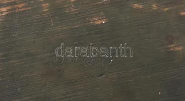 Lüszipposz (Lysippos) ókori görög szobrász Borghese-gladiátor szobrának másolata. Bronz hatású műgya...