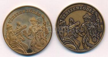 Lebó Ferenc (1960-) 1996. "A Honfoglalás emlékére 896-1896 / Vérszerződés" aranyozott Cu é...