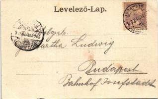 1900 Szatmárnémeti, Szatmár, Satu Mare; utca. Lövy Miksa kiadása / street view