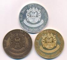 Bognár György (1944-) 1995. "Szenháromság szobor - Nagykanizsa 1773 / Kanizsa első írásos emlék...