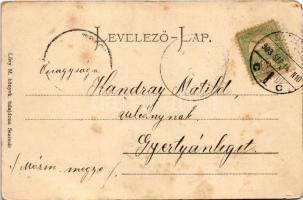 1903 Szatmárnémeti, Szatmár, Satu Mare; zárda. Lövy M. kiadása / nunnery (EM)