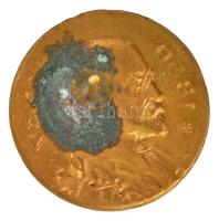 Csehszlovákia 1937. "1850 - 1937" bronz jelvény Tomáš Garrigue Masaryk halálának emlékére ...