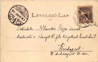 1901 Kolozsvár, Cluj; Felsőbb leányiskola. Dunky Fivérek cs. és kir. udvari fényképészek / girls...