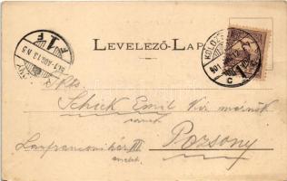 1901 Kolozsvár, Cluj; Mátyás király szülőháza. Dunky Fivérek cs. és kir. udvari fényképészek / birth...