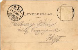 1901 Kolozsvár, Cluj; látkép. Dunky Fivérek cs. és kir. udvari fényképészek / general view (EM)