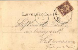 1902 Kolozsvár, Cluj; Szent Mihály templom. Dunky Fivérek cs. és kir. udvari fényképészek / church