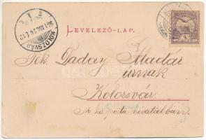 1901 Szászrégen, Reghin; Közép utca, Városi vendéglő és szálloda, Goldmann Samu üzlete. Heiter G. fé...