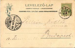 1903 Tátra, Tatry; Fehérpataki völgy, Zöld tó a Frigyes főherceg menházzal, Karbunkulustorony. Feitz...