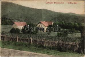 1914 Diósjenő, Erdész lak. Sámuel Samu és fia kiadása + DIÓSJENŐ M.Á.V. vasúti bélyegzés