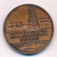 1987. 50 éves a magyar kőolaj és földgáz termelés / Magyar Olajipari Múzeum és MÉE Zala Megyei Csoportja 1937-1987 bronz emlékérem (42,5mm) T:UNC,AU