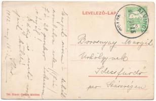 1912 Alvinc, Vintu de Jos; Martinuzzi kastély kapuja. Simon Gerson kiadása / castle gate (ázott / we...