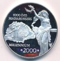 Bozó Gyula (1913-2004) 2000. 1000 éves Magyarország - Millennium kétoldalas fém emlékérem, peremén FÉM beütéssel (42mm) T:AU (eredetileg PP) patina, kis karc