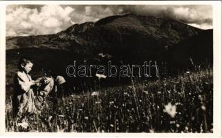 Borsa (Máramarosi Kárpátok), tavasz a Horthy-csúcs alatt / spring, mountain