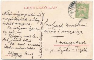 1908 Zsombolya, Hatzfeld, Jimbolia; Gróf Csekonics féle kastély. W.L. 424. / castle (r)