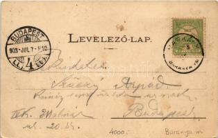 1903 Harkány, Park részlet. Feiler Mariska kiadása (EK)