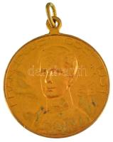 Osztrák-Magyar Monarchia 1908. "Ferenc József uralkodásának 60. évfordulója" aranyozott br...