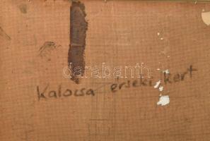 Károlyi Ernő (1923 -2016): Kalocsa, érseki kert. Olaj, farost, jelzett. Hátoldalán autográf feliratt...