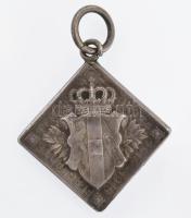 cca 1916 Habsburg Ottó trónörököst ábrázoló kétoldalas ezüst (Ag) medál 3,08 g, 2 cm / 1916, a doubl...