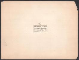 Szobabelső és bútorok, 3 db fotó, Seidner Zoltán, Járai Rudolf és Dr. Csörgeő Tibor felvételei, pecs...