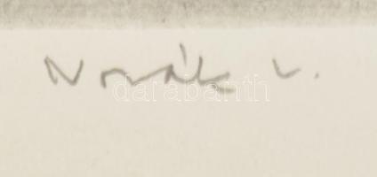 Novák Lajos (1927-1989): Magas elismerés a csapatzászlón (munkásőr ünnepség), 1982. Rézkarc, papír, ...