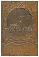 1935. DSK I. 1935 bronz tenisz díjplakett (54x79mm) T:AU,XF