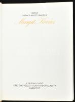 Pataky-Brestyánszky Ilona: Margit Kovács. Bp., 1976., Corvina - Képzművészeti Alap. Angol nyelven. G...