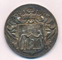 1900. "Bajai Helyi Iparkiállítás 1900" ezüstözött bronz emlékérem "BECK IGNÁCZ" ...