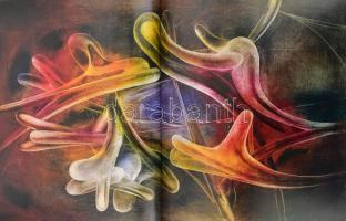 Reigl Judit. Volume 1. Szerk.: Makláry Kálmán. Bp., 2010, Kálmán Makláry Fine Arts. Gazdag képanyagg...