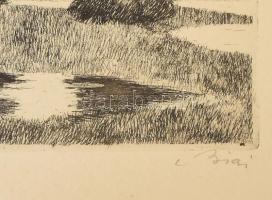 Biai-Föglein István (1905-1974): Pocsolya. Rézkarc, papír, jelzett, apró felületi sérüléssel. Fakere...