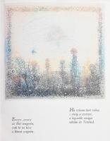 Gross Arnold emlékkönyve. Szelényi Károly fotóival. Bp., 1985, Móra. Gross Arnold műveivel gazdagon ...