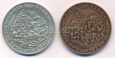 Peternák Gusztáv (1928-) 1988. &quot;MÉE Budapest / Hungarie Strigonium Metropolis&quot; Ag és bronz emlékérem pár (25,24g/0.800/42,5mm) T:UNC,AU