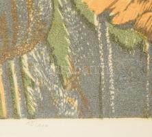 Németh András (1941-): Mák. Színes linómetszet, papír, jelzett, számozott (15/100), lap széle kissé ...