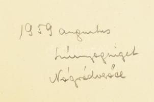 Jelzés nélkül, magyar festő: Strandolók (Szúnyogsziget, Nógrádverőce, 1959). Akvarell, papír, hátold...