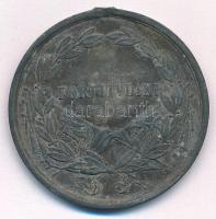 1917. "Károly Ezüst Vitézségi Érem I. osztálya" hadifém kitüntetés mellszalag és fül nélkü...