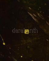 Pintér András Ferenc (1980-): Walk the Line II. Vegyes technika, fa, jelezve a hátoldalán. Reproduká...