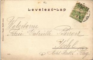 1906 Budapest XII. Kilátás a Jánoshegyről. Schwarz J. kiadása (kis szakadás / small tear)